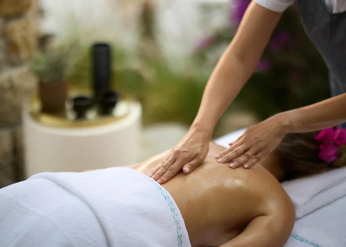 Nammos Mykonos 酒店 普沙罗