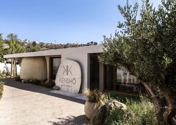 Nammos Mykonos 酒店 普沙罗